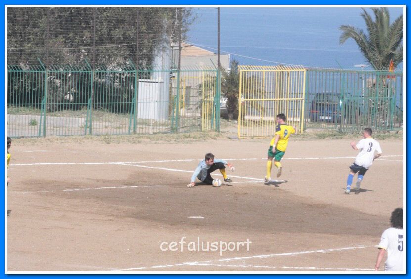 130406 delfini 013_tn.jpg